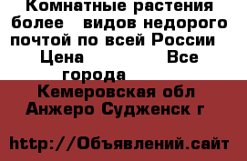 Комнатные растения более200видов недорого почтой по всей России › Цена ­ 100-500 - Все города  »    . Кемеровская обл.,Анжеро-Судженск г.